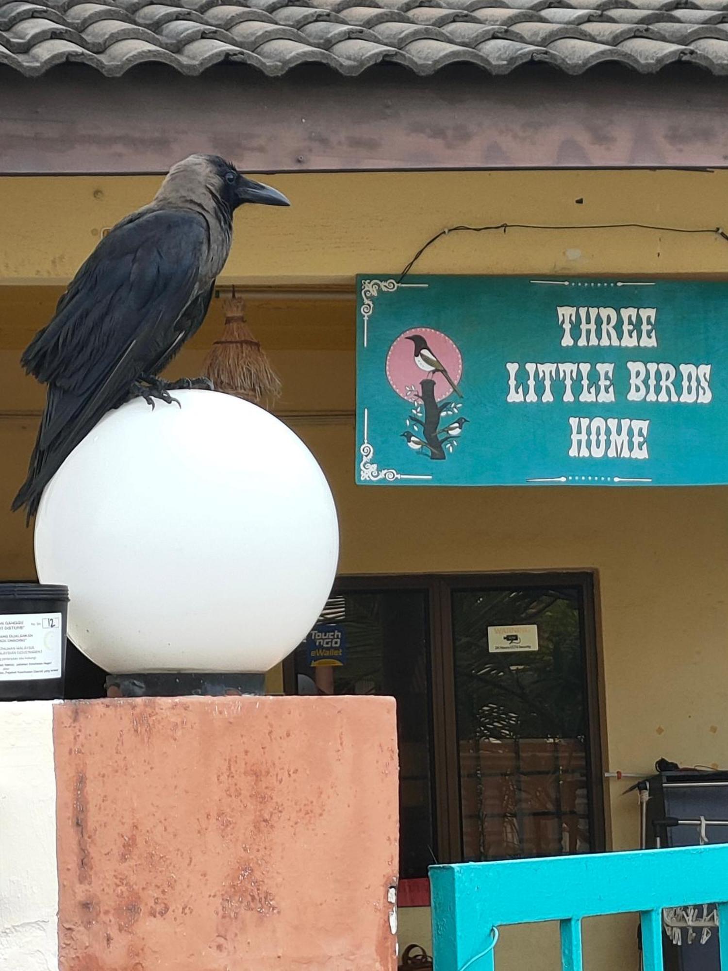 3 Little Birds Home, 100Meter To Jonkerwalk Malacca Exterior photo